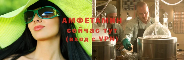индика Новокубанск