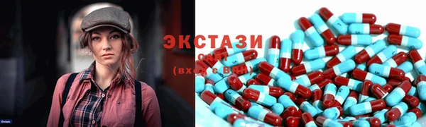 индика Новокубанск