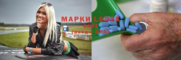 индика Новокубанск