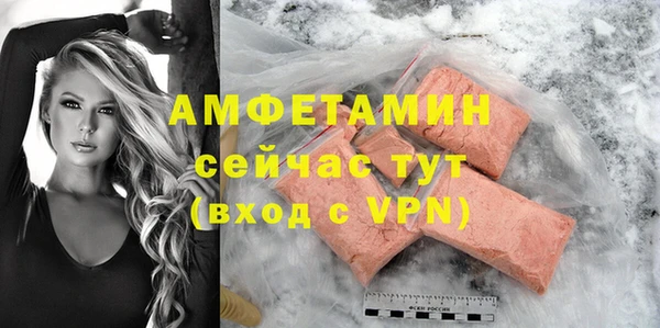индика Новокубанск