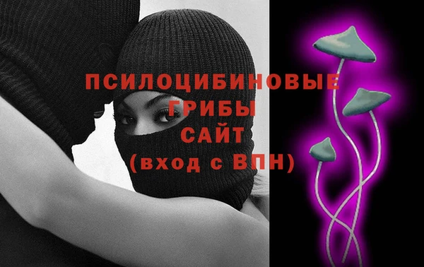 эйфоретик Новозыбков