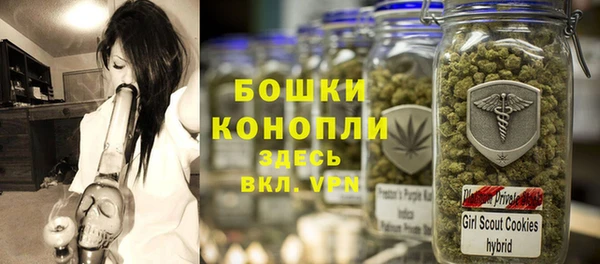 индика Новокубанск