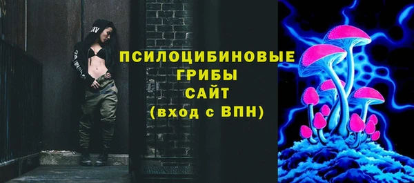 индика Новокубанск