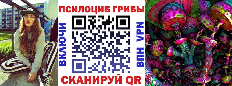 Галлюциногенные грибы Cubensis  блэк спрут вход  Чкаловск 